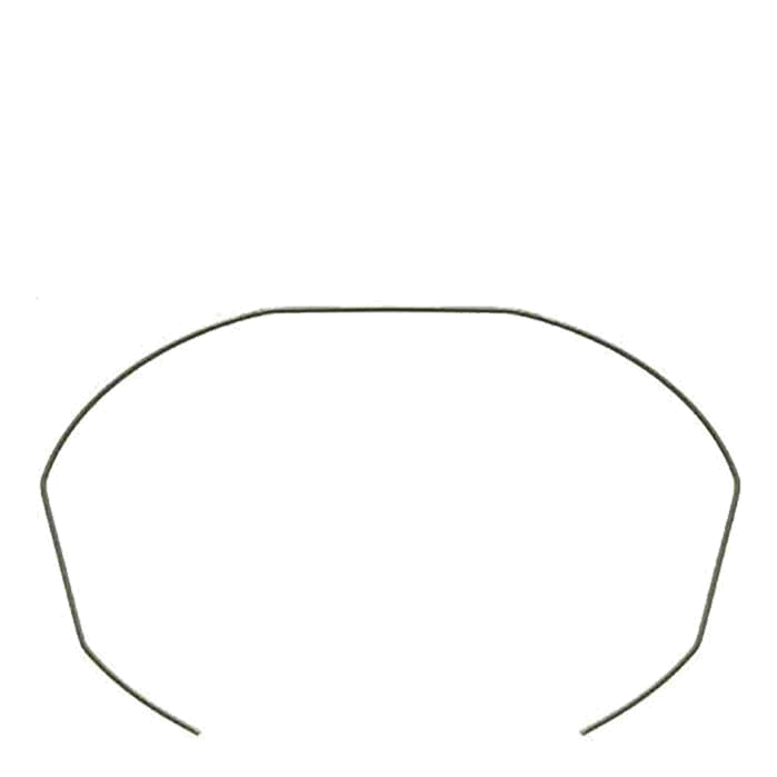 S/S FILTER LOCKING SPRING